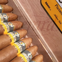 COHIBA PIRAMIDES EXTRA BN 10