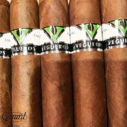 VEGUEROS ENTRETIEMPOS TIN 16