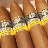 COHIBA PIRAMIDES EXTRA BN 10