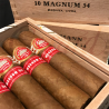 H. UPMANN MAGNUM 54 CAB 10