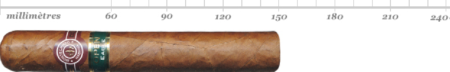 MONTECRISTO OPEN EAGLE ETUI 3 AT