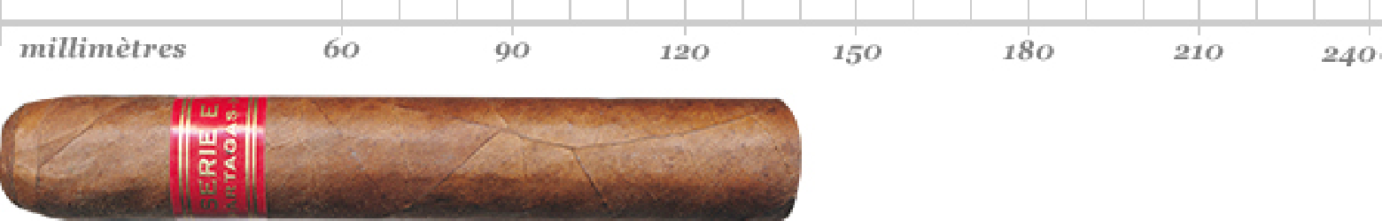 PARTAGAS SERIE E NO 2 BN 5