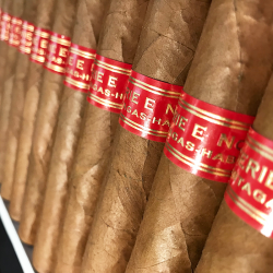 PARTAGAS SERIE E NO 2 BN 5