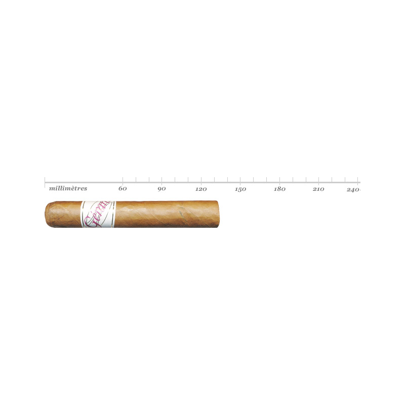GERARD PRIVATE BLEND 444 BN 25