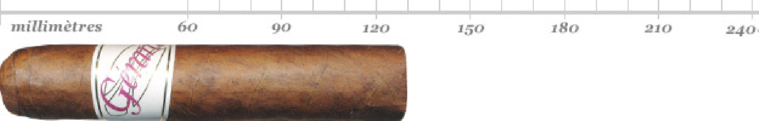 GERARD LIMITED BLEND SUPER ROBUSTO 60 BN 10