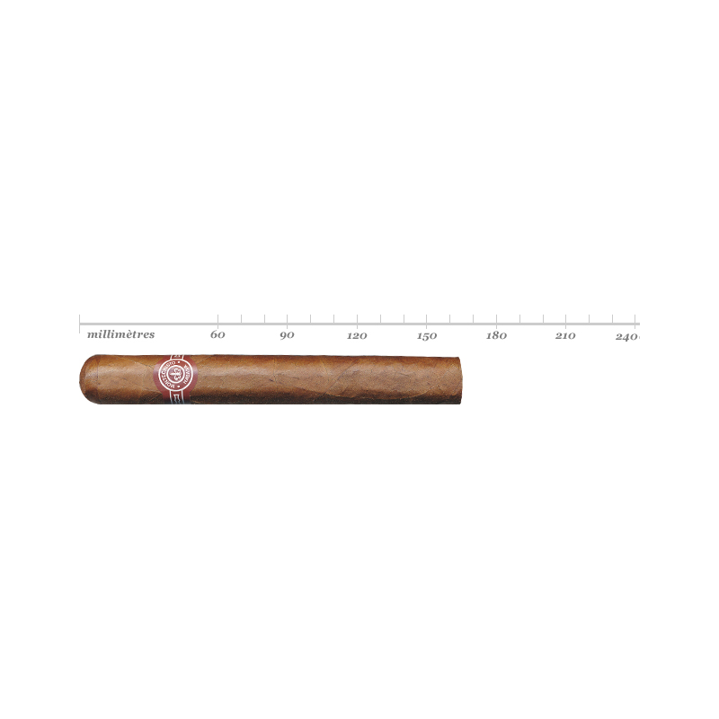 WHERE TO BUY MONTECRISTO GERARD-GENEVA: PETIT CORONA