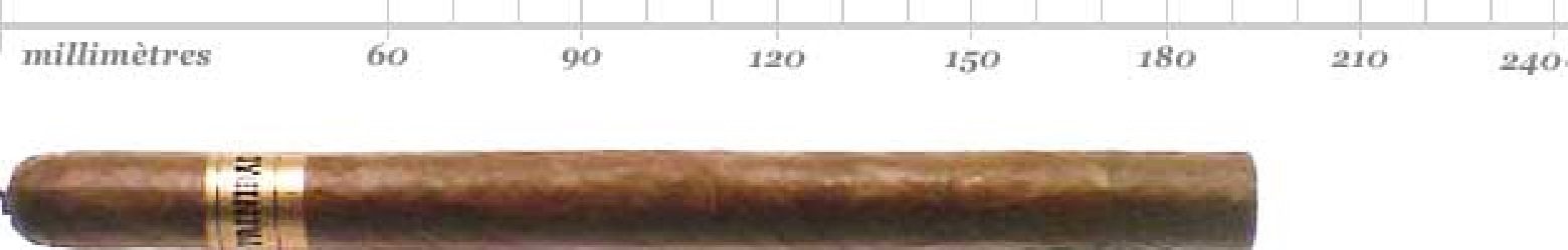 TRINIDAD FUNDADORES BN 24