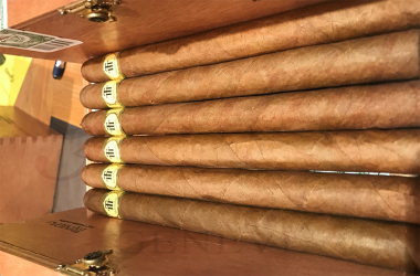 TRINIDAD FUNDADORES BN 24