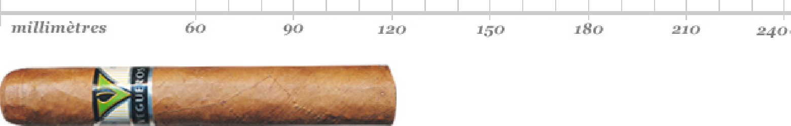 VEGUEROS TAPADOS TIN 16 CIGARES