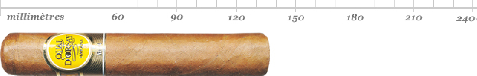 QUAI D'ORSAY NO 54 BN 25