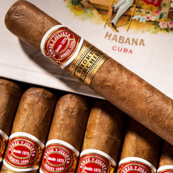 ROMEO Y JULIETA SHORT CHURCHILL SBN 25