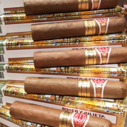 ROMEO Y JULIETA SHORT CHURCHILL SBN 25