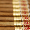 ROMEO Y JULIETA SHORT CHURCHILL SBN 25