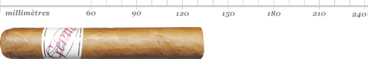 GERARD PRIVATE BLEND 444 BN 25