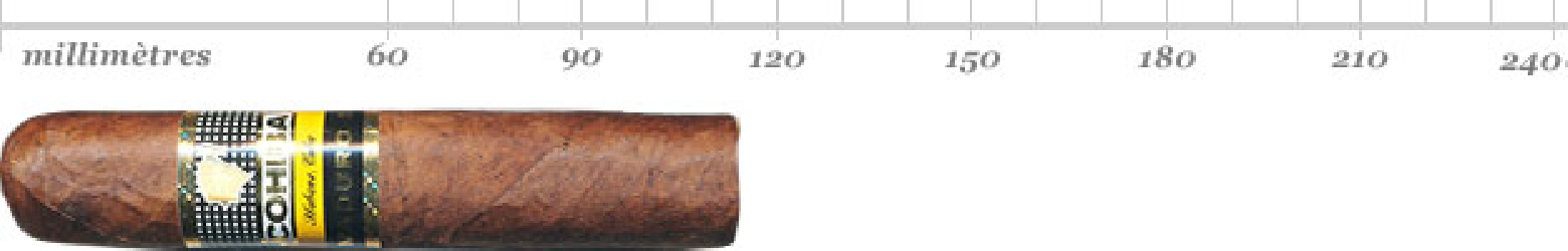 COHIBA MAGICOS MADURO 5 BN 25