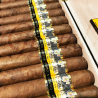 COHIBA MAGICOS MADURO 5 BN 25