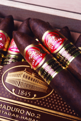 PARTAGAS MADURO NO 2 BN 25
