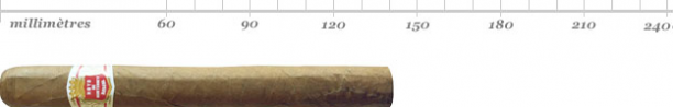 HOYO PALMAS EXTRA SBN 25