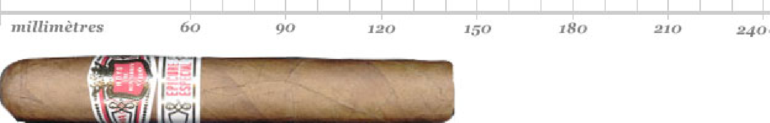 HOYO EPICURE ESPECIAL CAB 25
