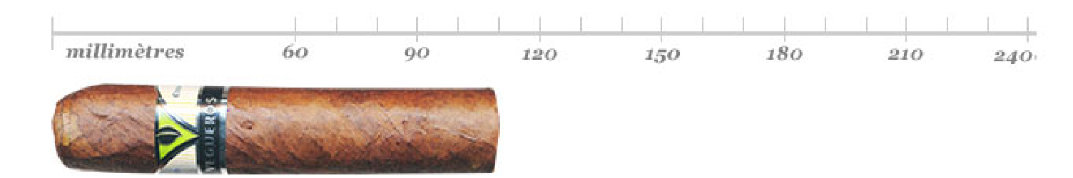 VEGUEROS CENTROFINOS TIN 16