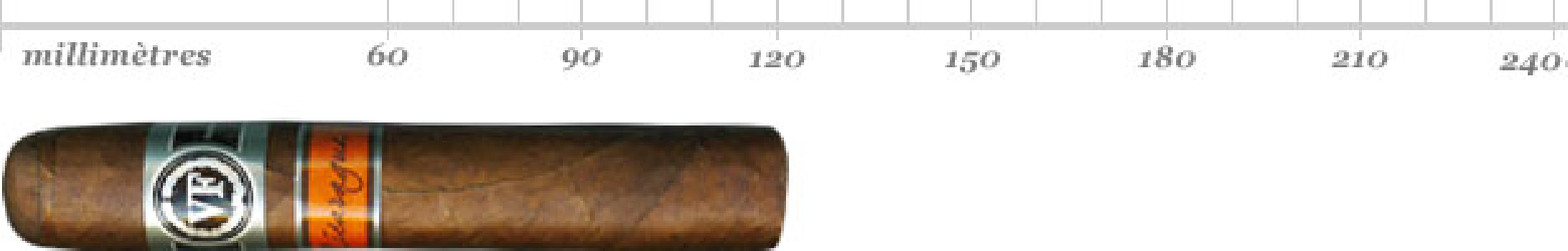 VEGAFINA NICARAGUA ROBUSTO SBN 25