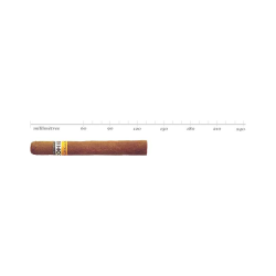 COHIBA SIGLO 2 ETUI 5 CIGARS