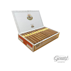 REY DEL MUNDO CHOIX SUPREME...