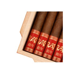 VEGAFINA YEAR OF THE DRAGON 2024 16