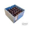SEPTIMO GREEN SERIES SMALL IMPACT BN 25