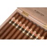 RAMON ALLONES ABSOLUTOS ED. LIM 2024 COFFRET 20