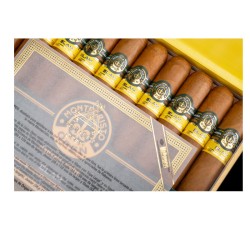 MONTECRISTO OPEN SLAM SBN 20