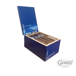 HORACIO OX BLUE VELVET
