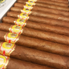 REY DEL MUNDO CHOIX SUPREME SBN 25