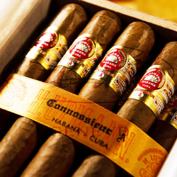 H. UPMANN CONNOSSIEUR A CAB 25