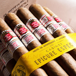 HOYO EPICURE ESPECIAL CAB 25