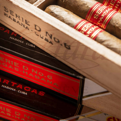 PARTAGAS SERIE D NO 6 SBN 20