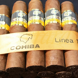 COHIBA MEDIO SIGLO BN 25