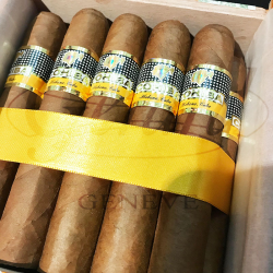 COHIBA ROBUSTOS CAB 25