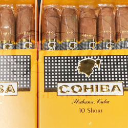 COHIBA SHORT ETUI 10