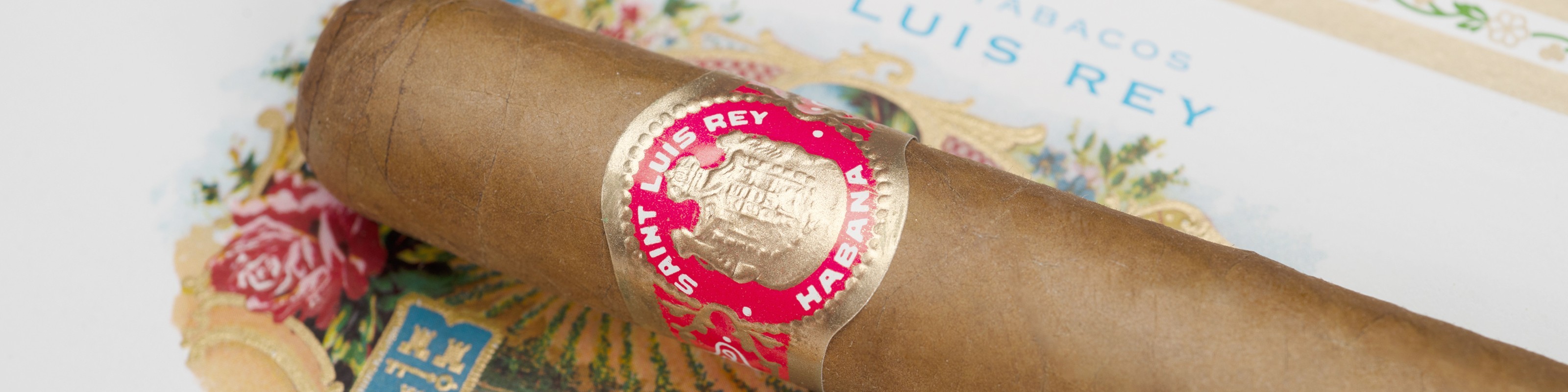 Saint Luis Rey